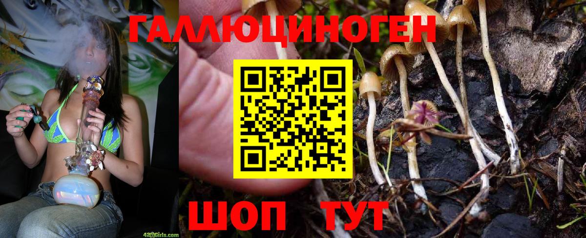 Волхов  Псилоцибиновые грибы ЛСД  Вход с VPN 